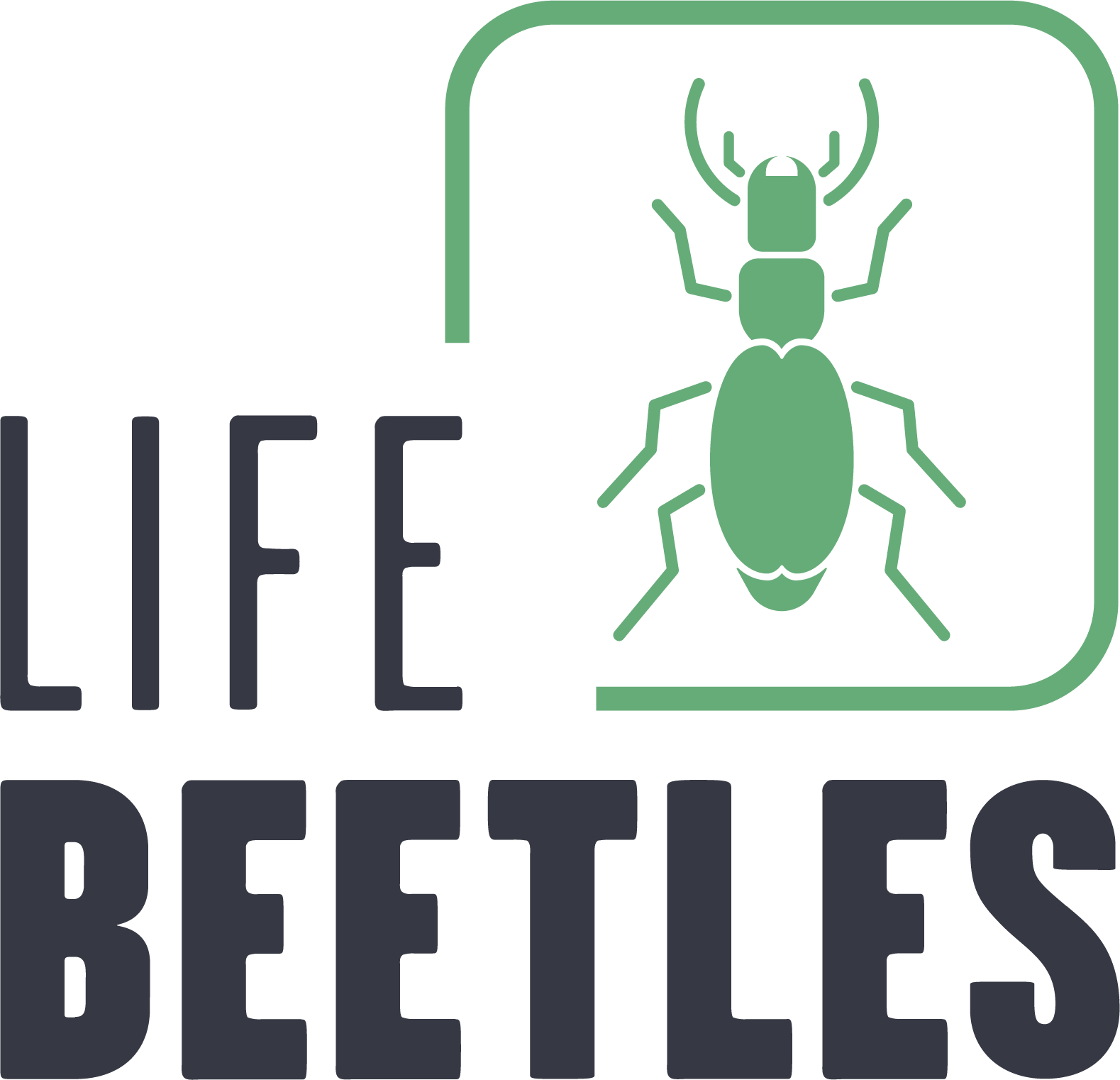 Life Beetles Azores Logo